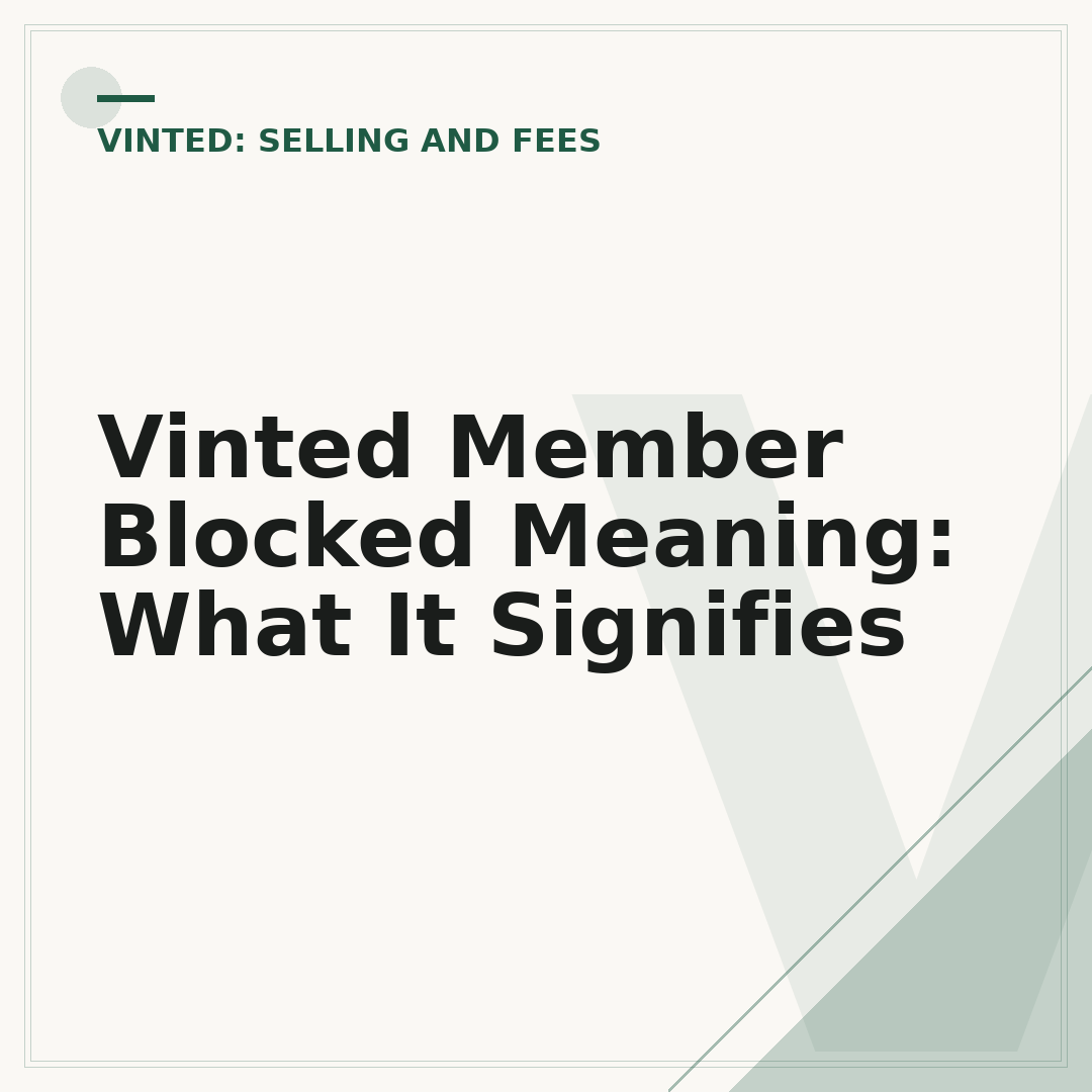 Vinted Member Blocked Meaning: What It Signifies