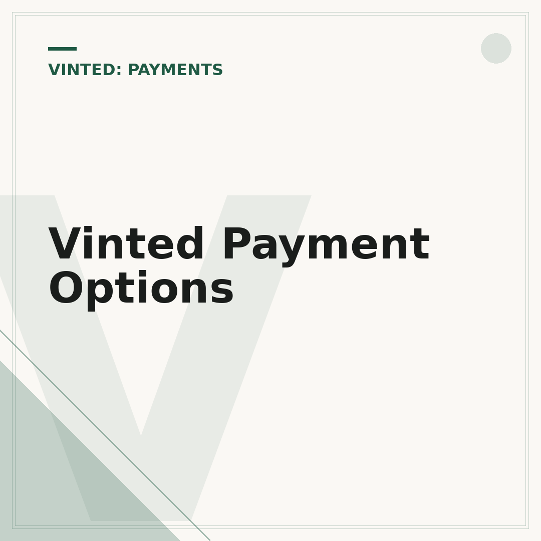 Vinted Payment Options