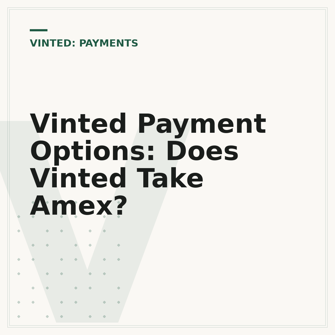 Vinted Payment Options: Does Vinted Take Amex?