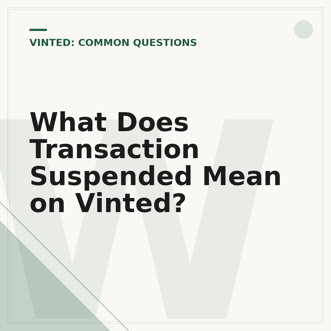 What Does Transaction Suspended Mean on Vinted?