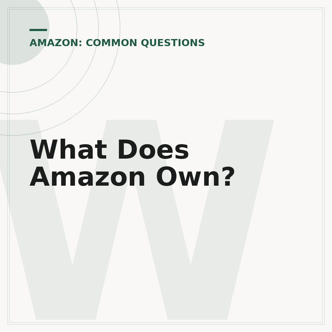 What Does Amazon Own?