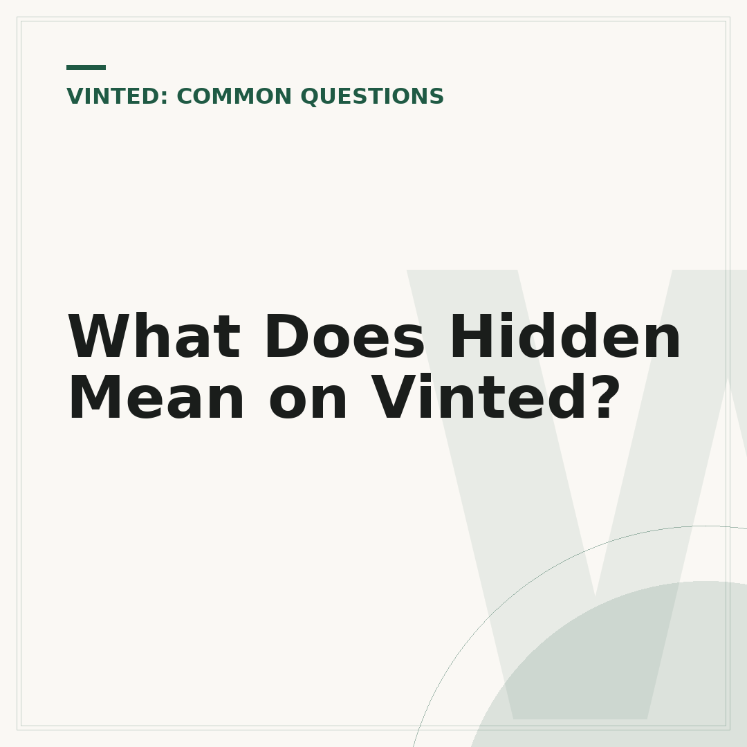 What Does Hidden Mean on Vinted?