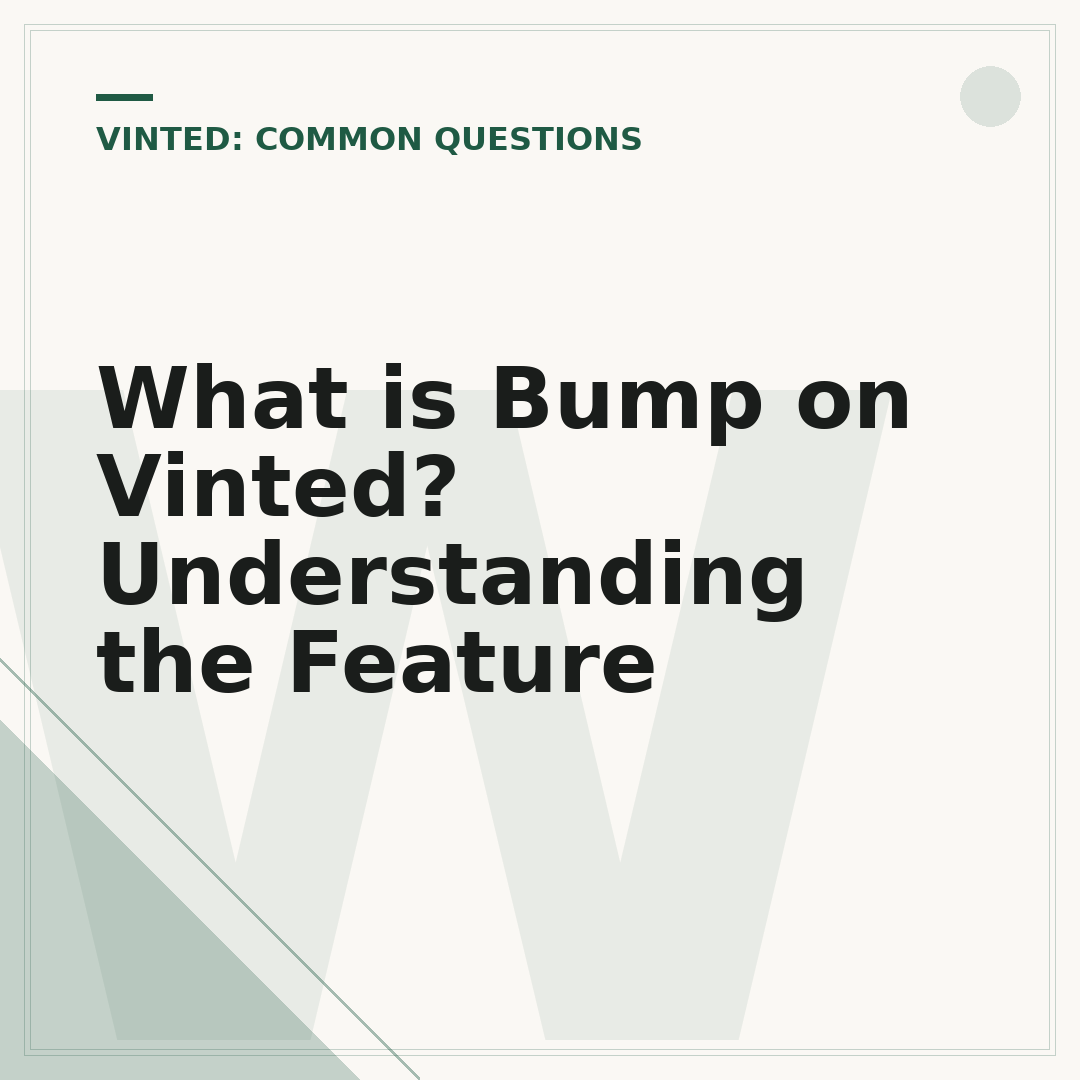 What is Bump on Vinted? Understanding the Feature