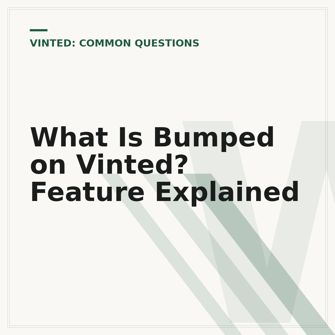 What Is Bumped on Vinted? Feature Explained