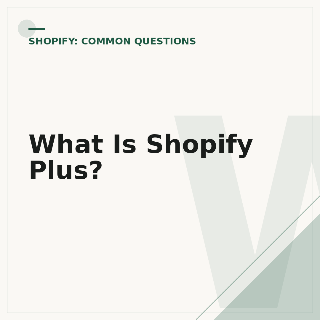 What Is Shopify Plus?