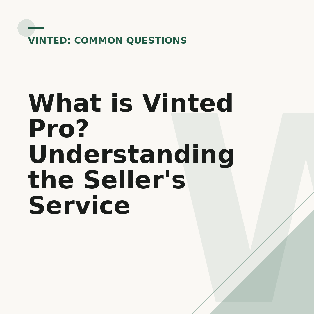 What is Vinted Pro? Understanding the Seller's Service