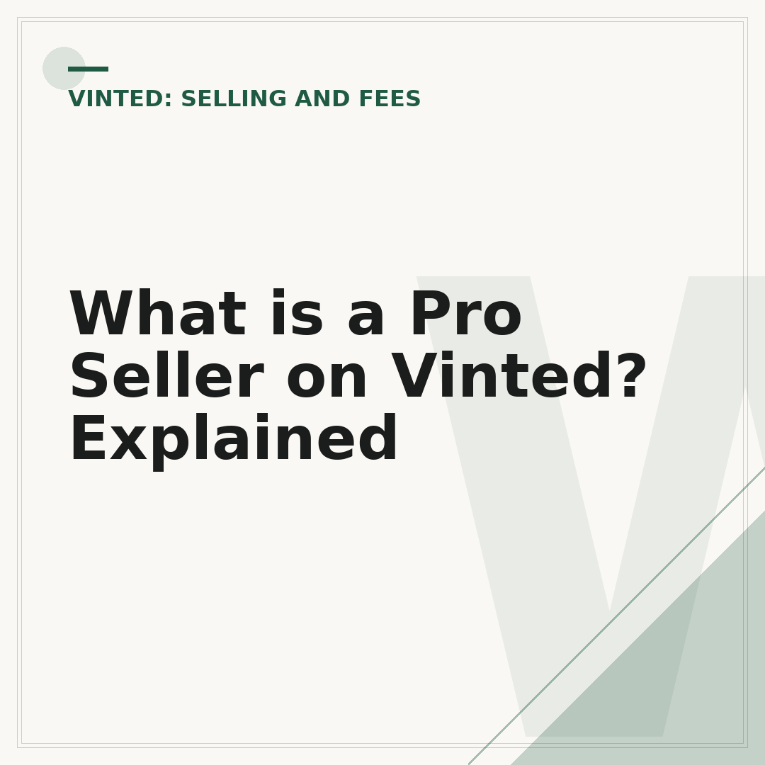 What is a Pro Seller on Vinted? Explained