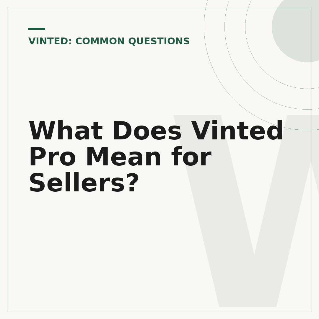 What Does Vinted Pro Mean for Sellers?
